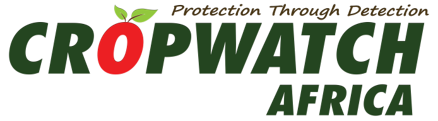 cwa logo