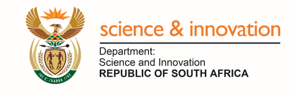 dsi logo