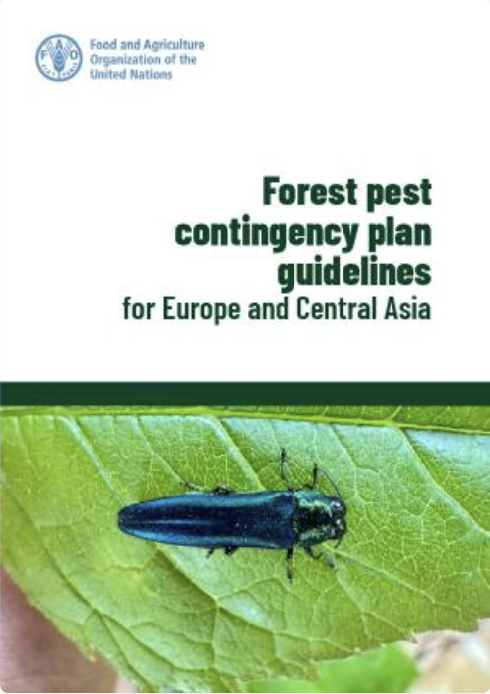 Forest pest contingency plan guidelines for Europe and Central Asia